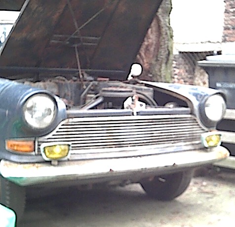 Arabella005.JPG