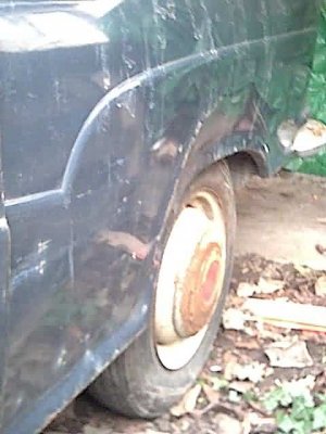 th_Arabella011.JPG