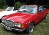 IMG_1819bearb
