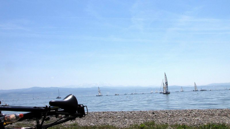 IMG_2359