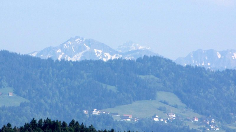 IMG_2393