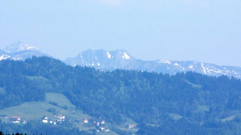 IMG_2394