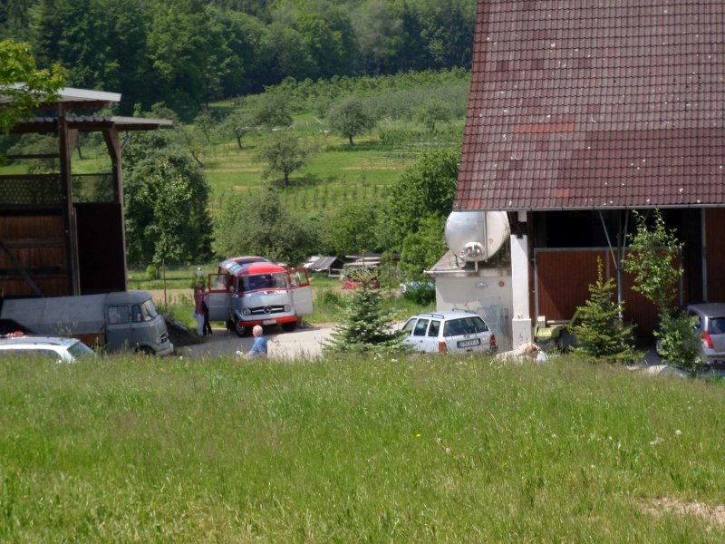 P5230262