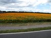 IMG_1047